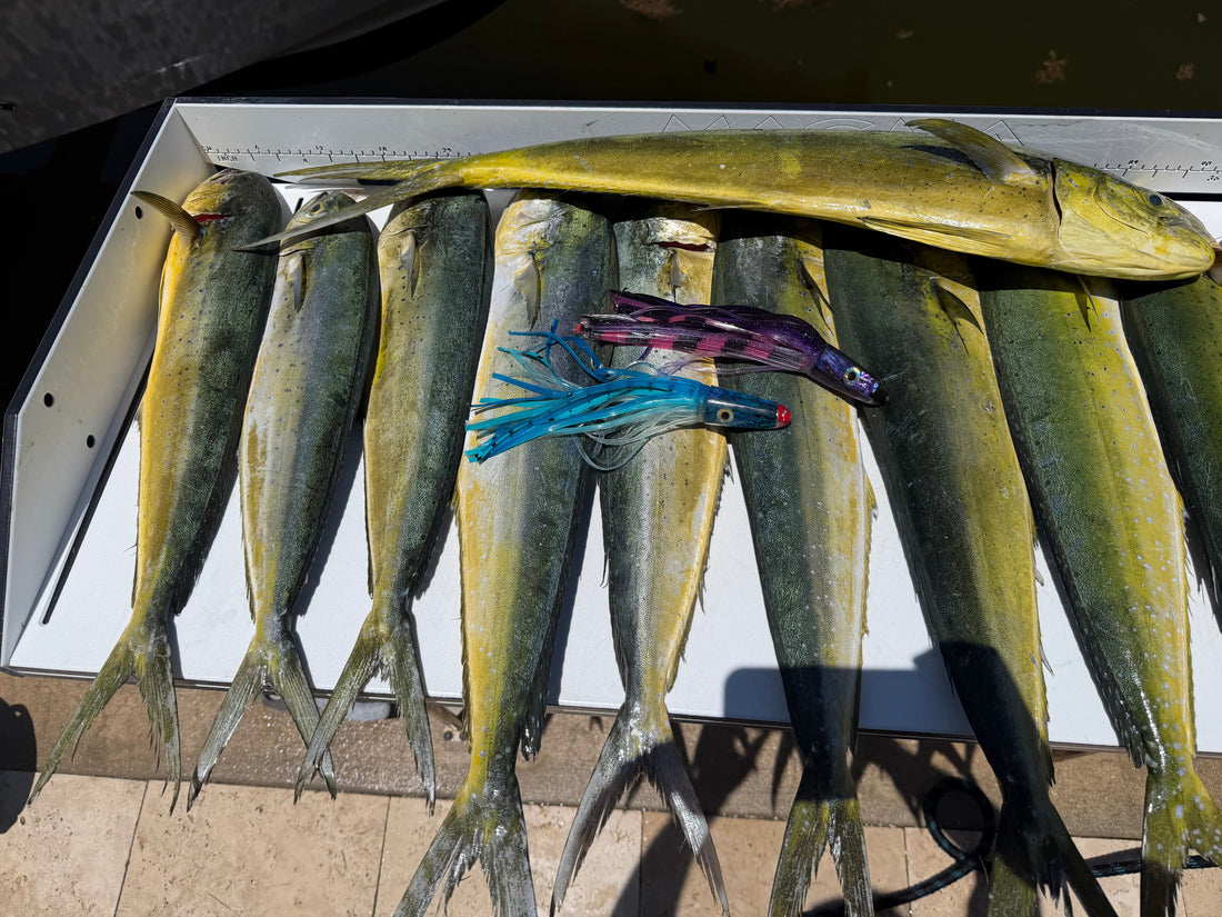 lures that caught lots of fish
