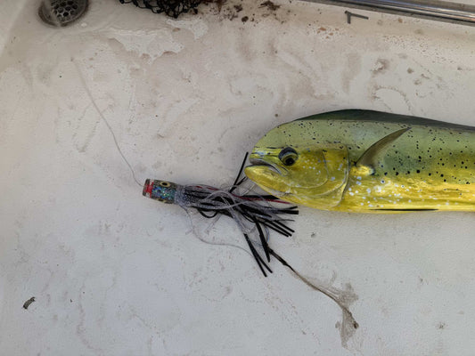 best offshore fishing lure for mahi
