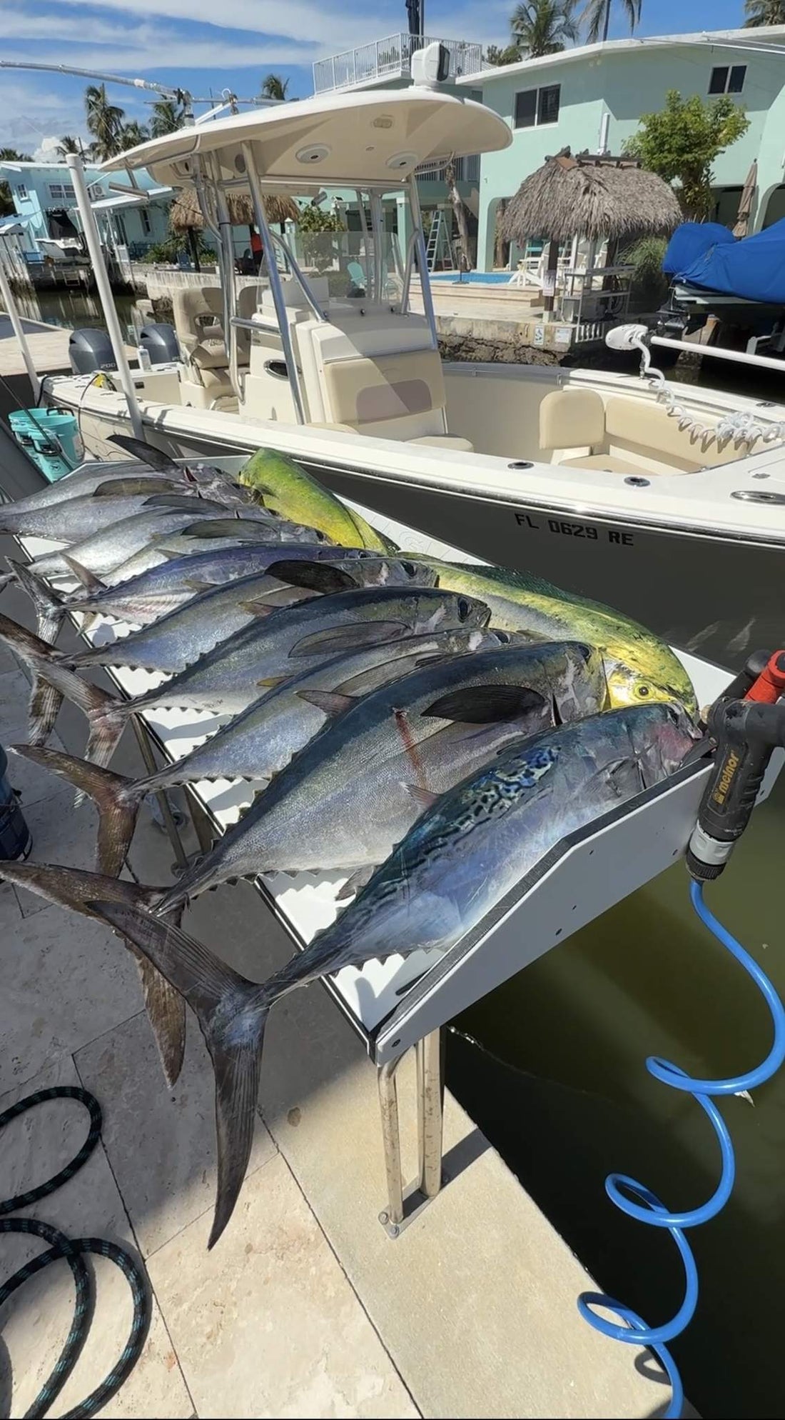 Tuna on fliet 