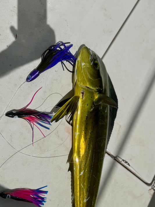 best offshore lures for mahi