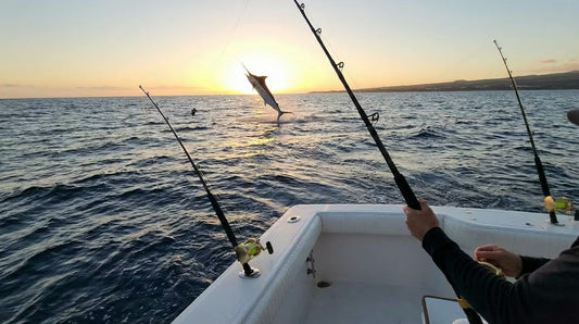 fishing from a boat marlin, tuna, and wahoo.