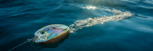Offshore trolling lure for marlin tuna