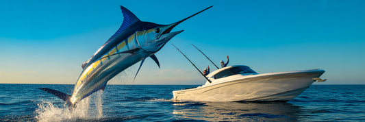 Blue marlin leaping near sport fishing boat.