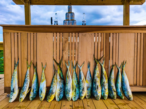 K2 Fishing offshore trolling
