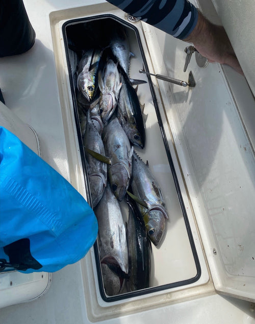 K2 Fishing skirted trolling lure for tuna and mah 
